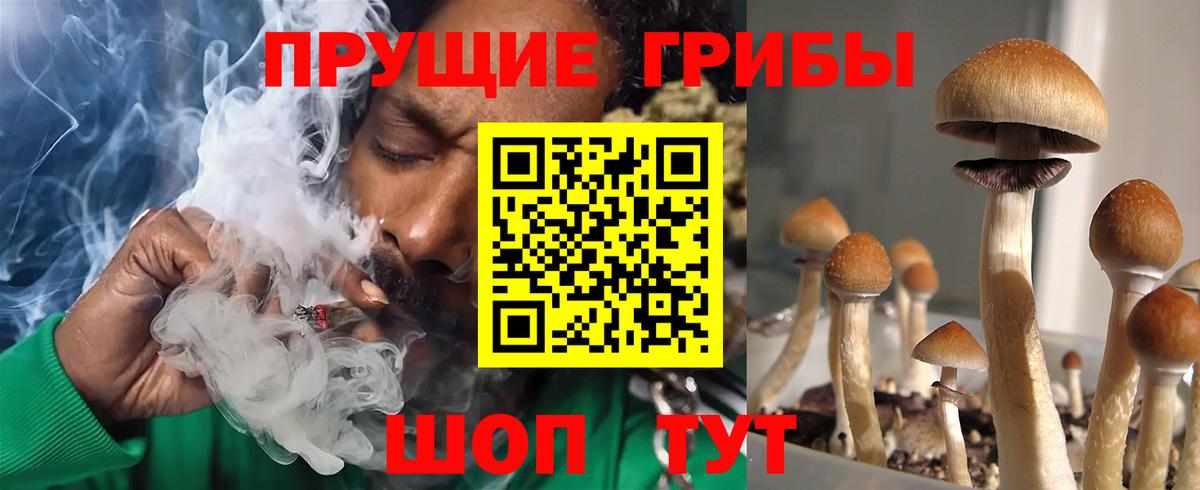 где продают   Галлюциногенные грибы Magic Shrooms  Орёл  Вход с VPN  Псилоцибиновые грибы Cubensis 